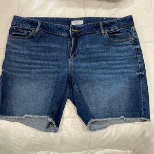 Loft Plus, 14 denim cut off jean shorts.